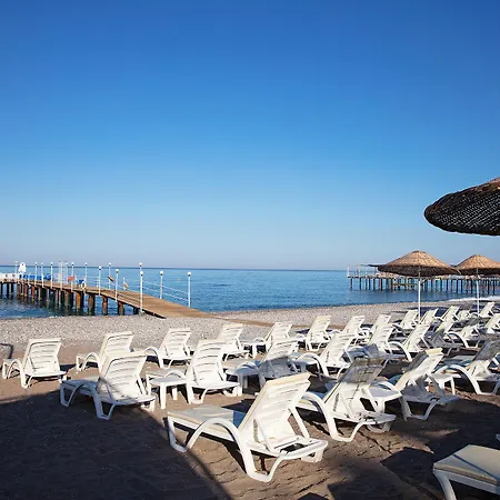 Galeri 5* Okurcalar