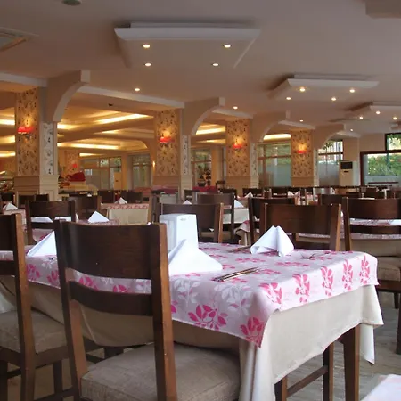 Rezort Galeri Okurcalar